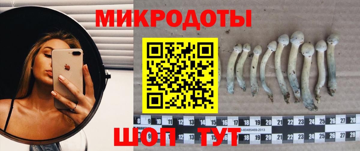 Десногорск  Галлюциногенные грибы мухоморы  Галлюциногенные грибы Cubensis  Вход с VPN 